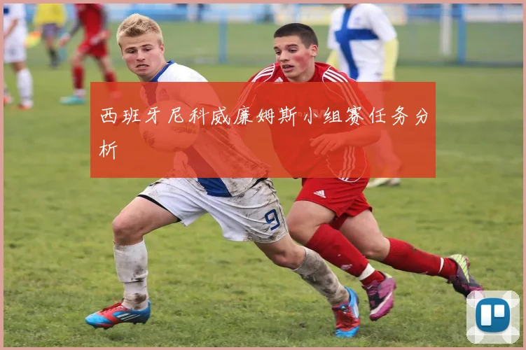 西班牙尼科威廉姆斯小组赛任务分析
