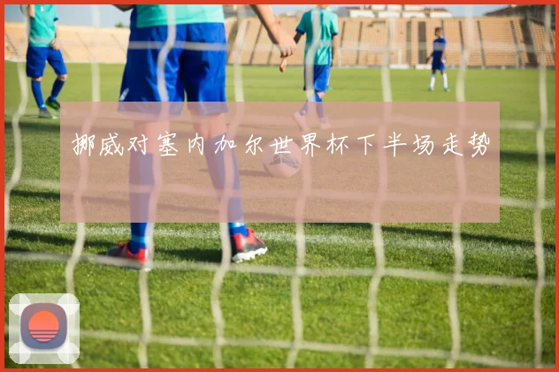 挪威对塞内加尔世界杯下半场走势