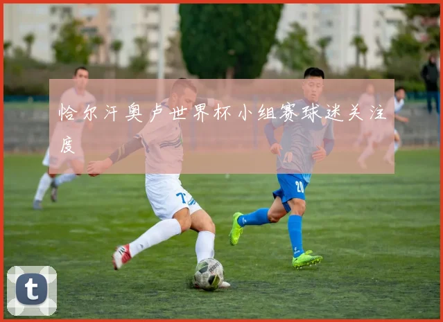恰尔汗奥卢世界杯小组赛球迷关注度