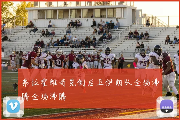 弗拉霍维奇晃倒后卫伊朗队全场沸腾全场沸腾