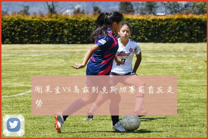 刚果金vs乌兹别克斯坦赛前首发走势