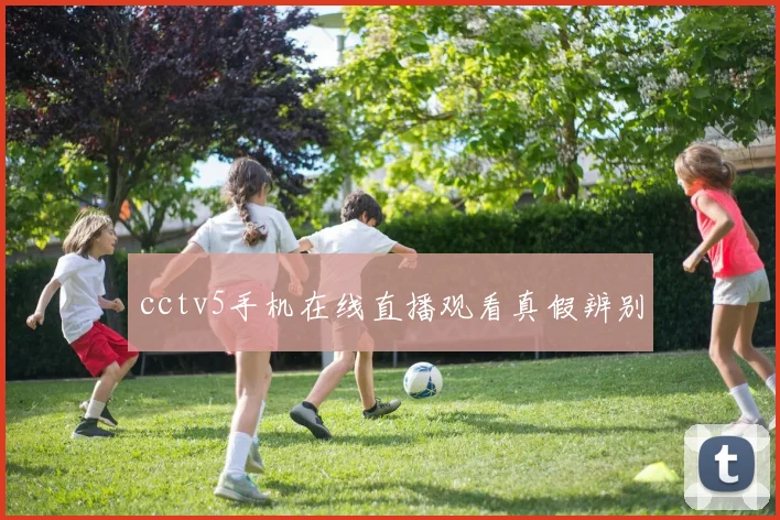 cctv5手机在线直播观看真假辨别