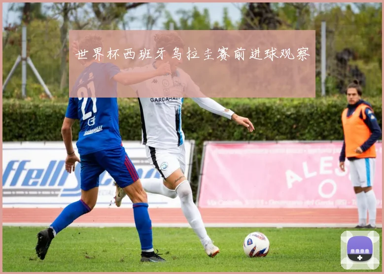 世界杯西班牙乌拉圭赛前进球观察