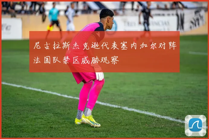 尼古拉斯杰克逊代表塞内加尔对阵法国队禁区威胁观察