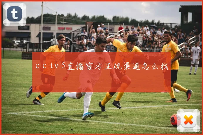 c c tv 5直播官方正规渠道怎么找