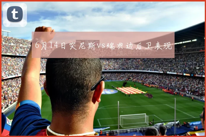 6月14日突尼斯vs瑞典边后卫表现