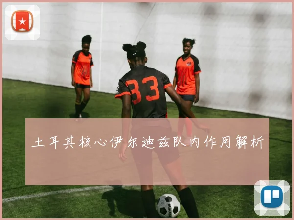 土耳其核心伊尔迪兹队内作用解析